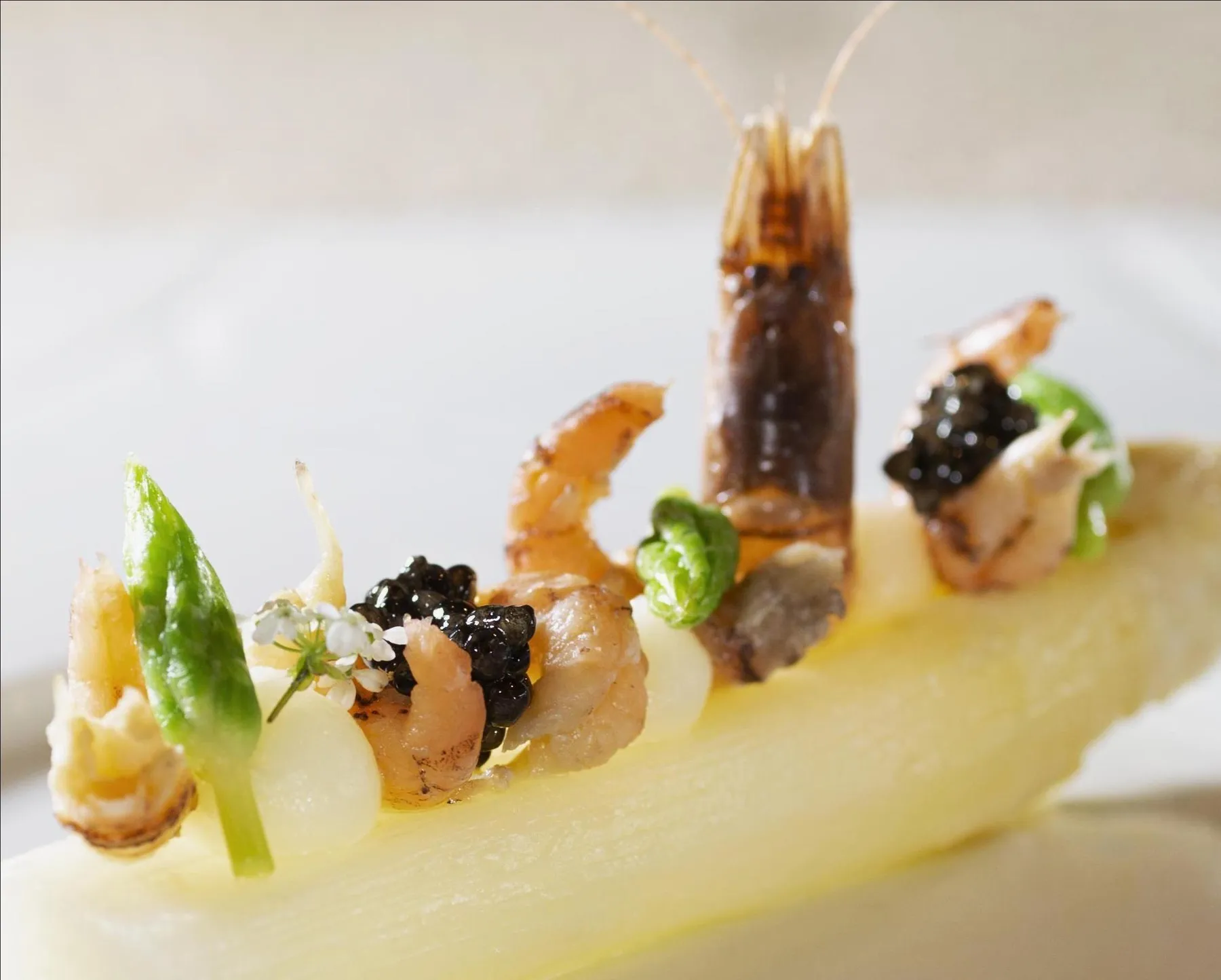 Witte asperge met grijze garnalen en kaviaar